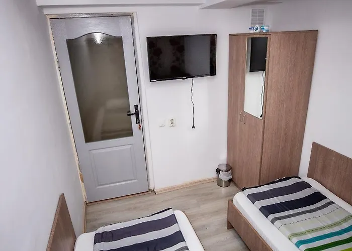 Nelana * Κλουζ-Ναπόκα