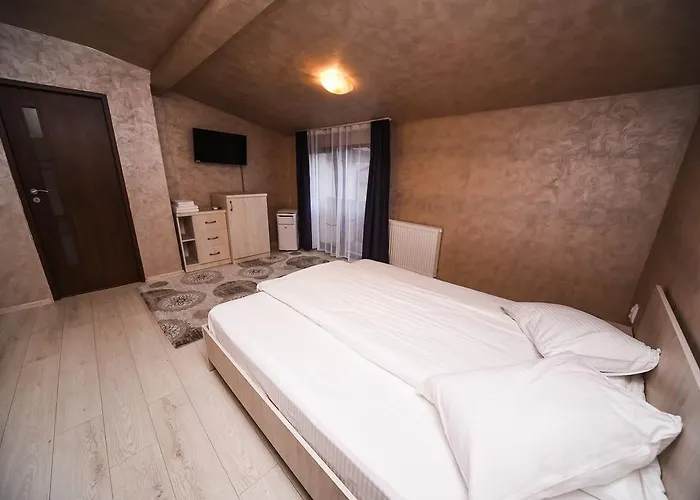 Nelana * Κλουζ-Ναπόκα